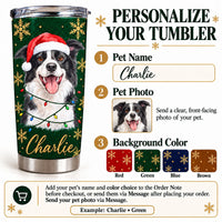 Personalized Christmas Border Collie tumbler with Santa hat, lights, and name customization guide.