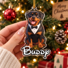 Custom Pet Portrait Acrylic Ornament Personalized Dog Cat Memorial Gift Christmas Tree Decor on a hanger, ready to ship from Austin, Texas
