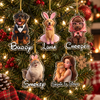Custom Pet Portrait Acrylic Ornament Personalized Dog Cat Memorial Gift Christmas Tree Decor available at our Austin, Texas warehouse