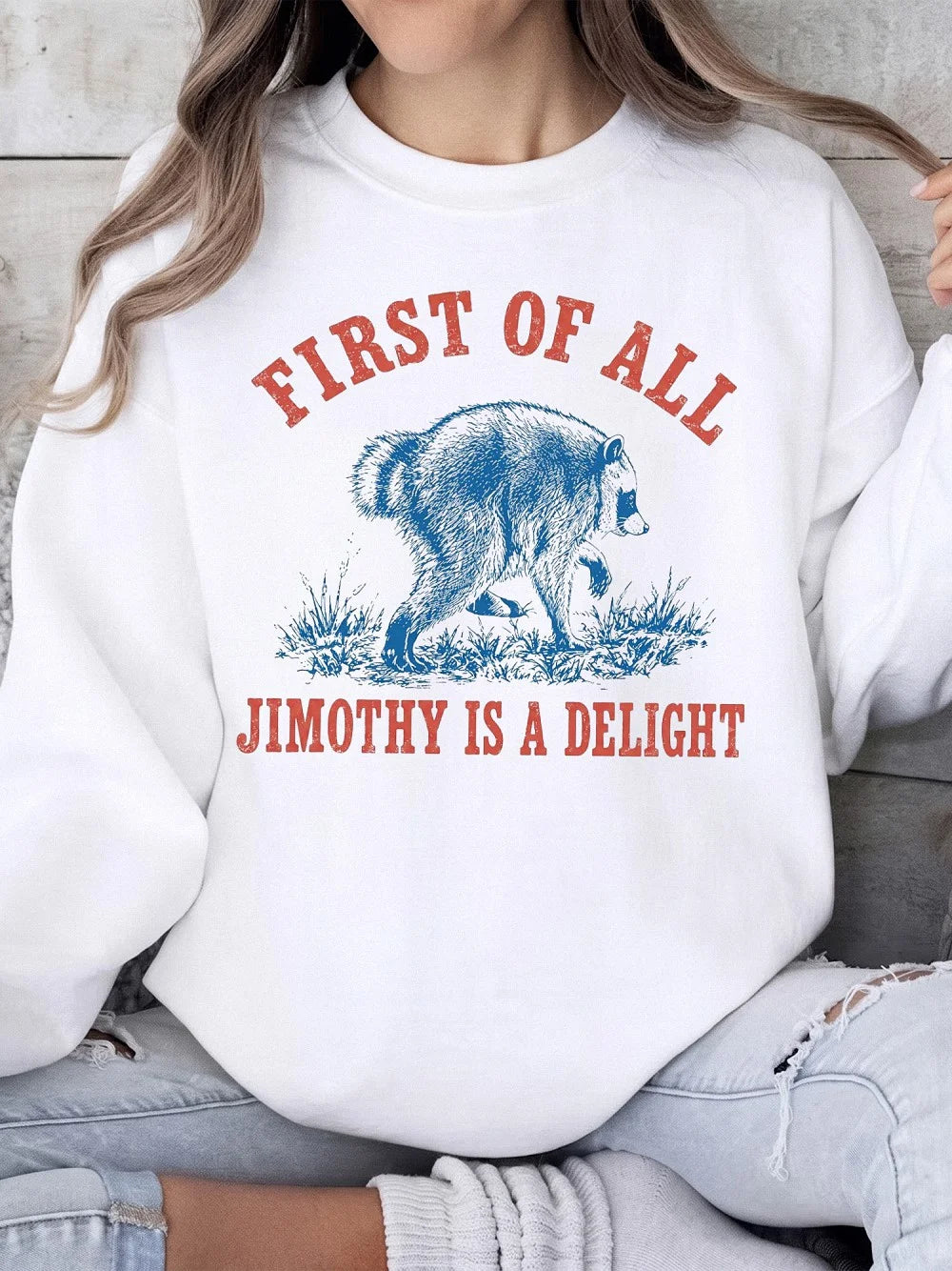 First Of All Jimothy Is A Delight Raccoon T-Shirt Vintage Animal Meme Graphic Tee