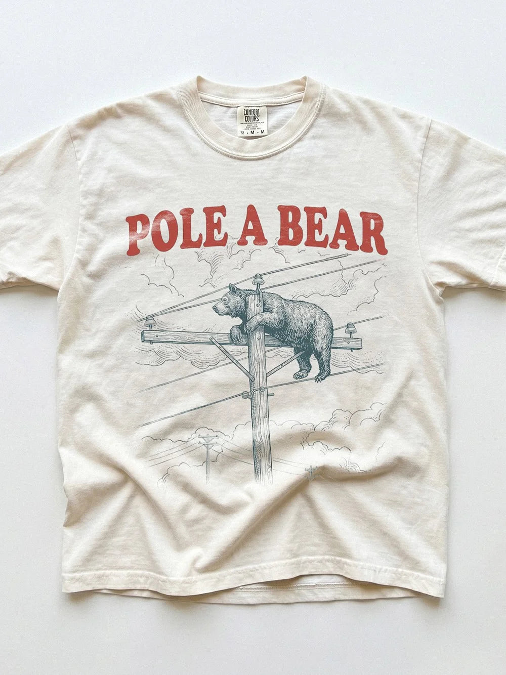 Pole A Bear Funny Animal Pun T-Shirt Retro Graphic Humor Tee
