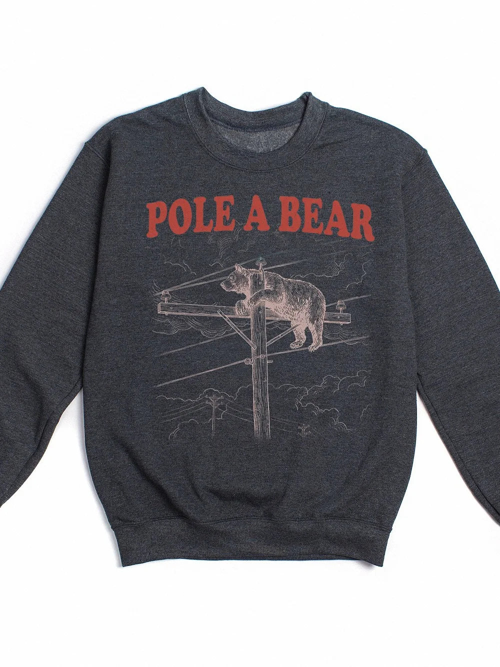 Pole A Bear Funny Animal Pun T-Shirt Retro Graphic Humor Tee