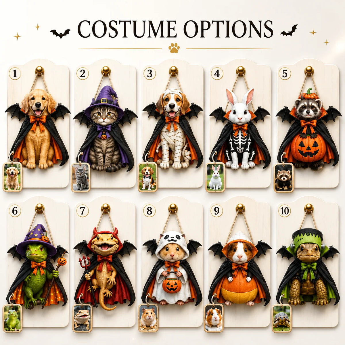 Witch Cat Door Hanger Custom Pet Halloween Portrait Decoration